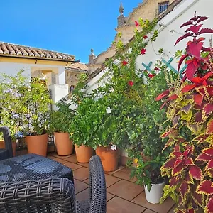 Descalzos Angel With Private Terrace Free Parking Ronda